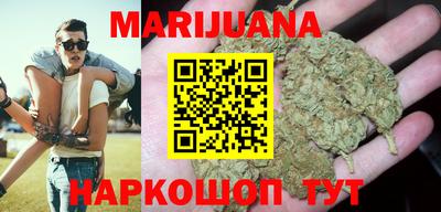 сатива Бузулук
