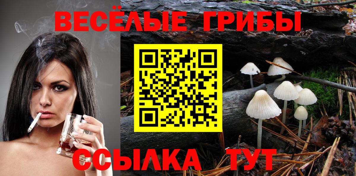 Коряжма  Псилоцибиновые грибы мухоморы  Вход с VPN 