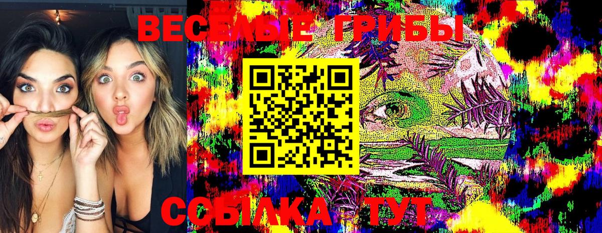 Галлюциногенные грибы GOLDEN TEACHER Коряжма